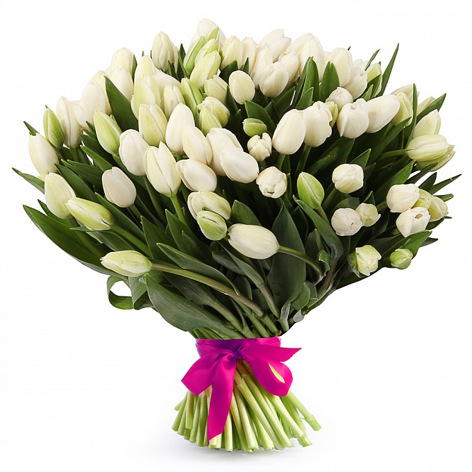 Купить цветы Букет из белых тюльпанов